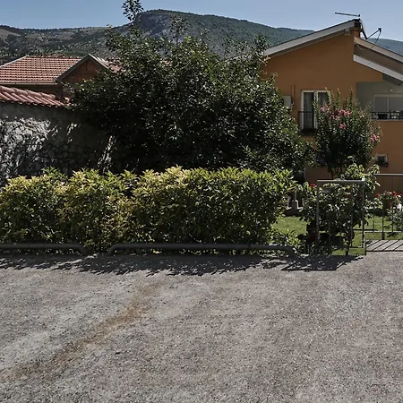 Pansion Rose موستار