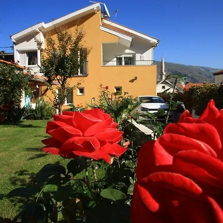 Gostinjska kuća Pansion Rose