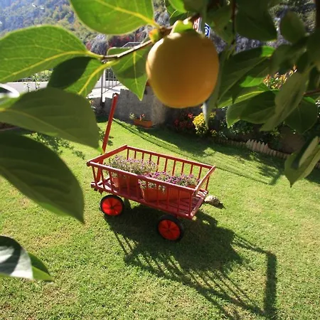 Pansion Rose 3* Mostar