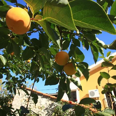 Pansion Rose Gostinjska kuća Mostar