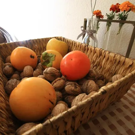 Gostinjska kuća Pansion Rose