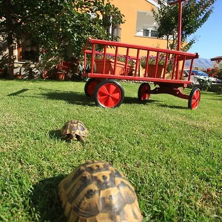 Pansion Rose Gostinjska kuća
