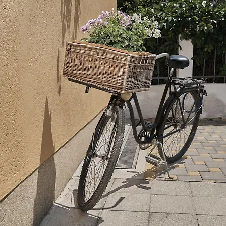 Gostinjska kuća Pansion Rose Mostar