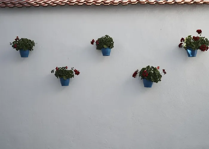 Pansion Rose Penzion 3*