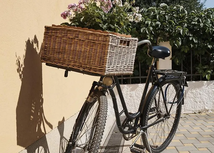 Pansion Rose Penzion 3*