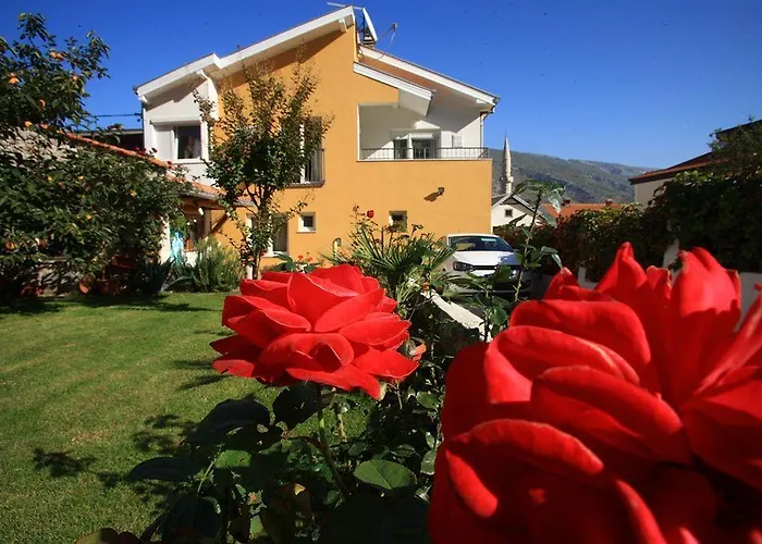 Penzion Pansion Rose