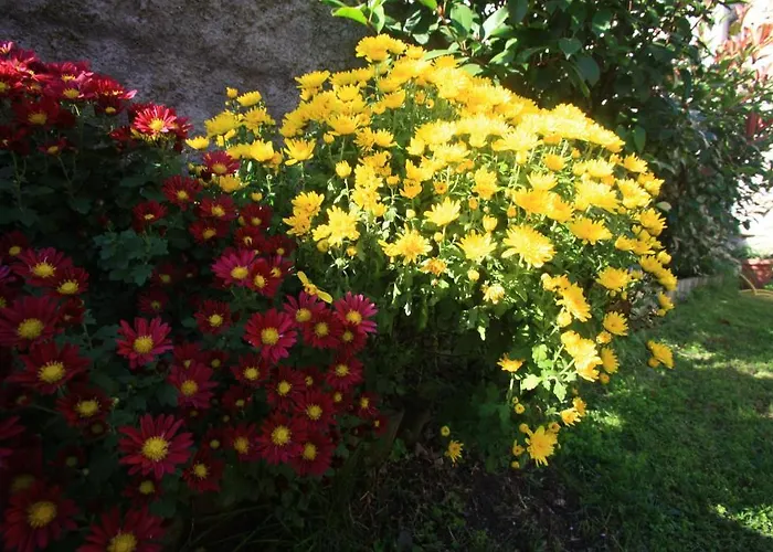 Pansion Rose Penzion 3*