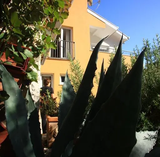 Penzion Pansion Rose