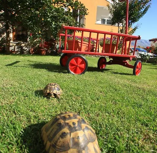 Pansion Rose Pensionat